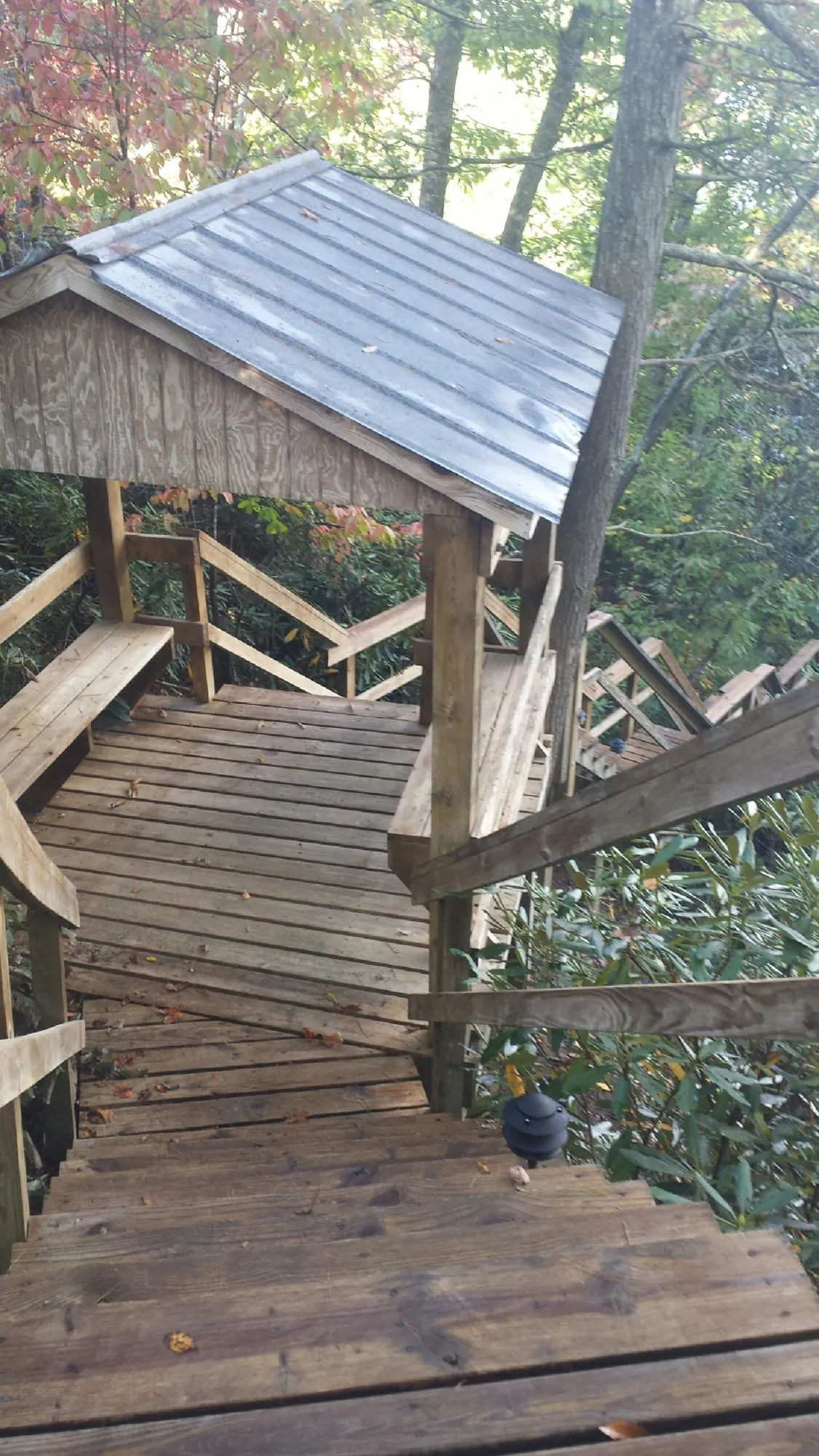 Metal roofed shelter over wooden steps on a wooded walkway — Skylight Repair & Installation work by our crew in Ashwood